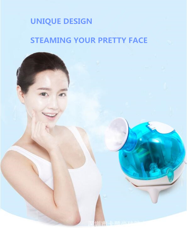 Face steamer