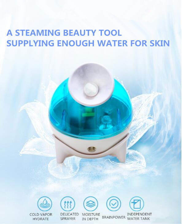 Face steamer