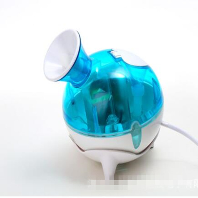 Face steamer