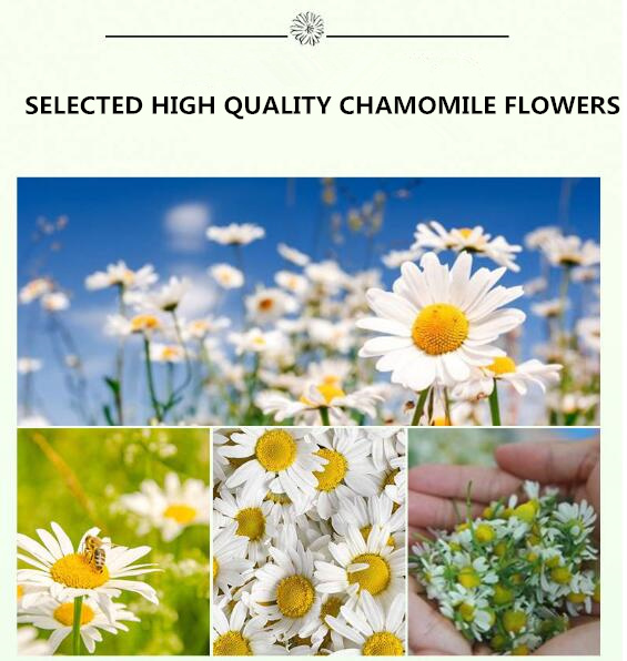 CHAMOMILE HYDROLATE